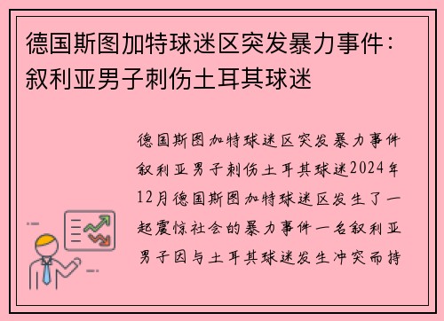 德国斯图加特球迷区突发暴力事件：叙利亚男子刺伤土耳其球迷