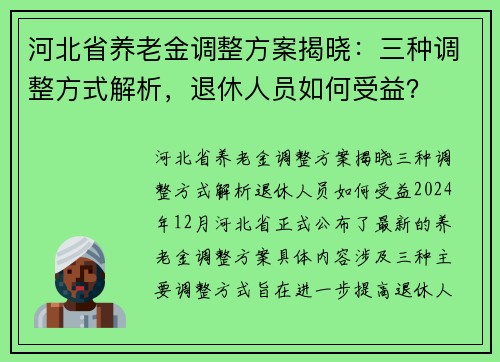 河北省养老金调整方案揭晓：三种调整方式解析，退休人员如何受益？