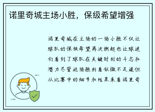 诺里奇城主场小胜，保级希望增强
