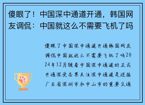 傻眼了！中国深中通道开通，韩国网友调侃：中国就这么不需要飞机了吗？